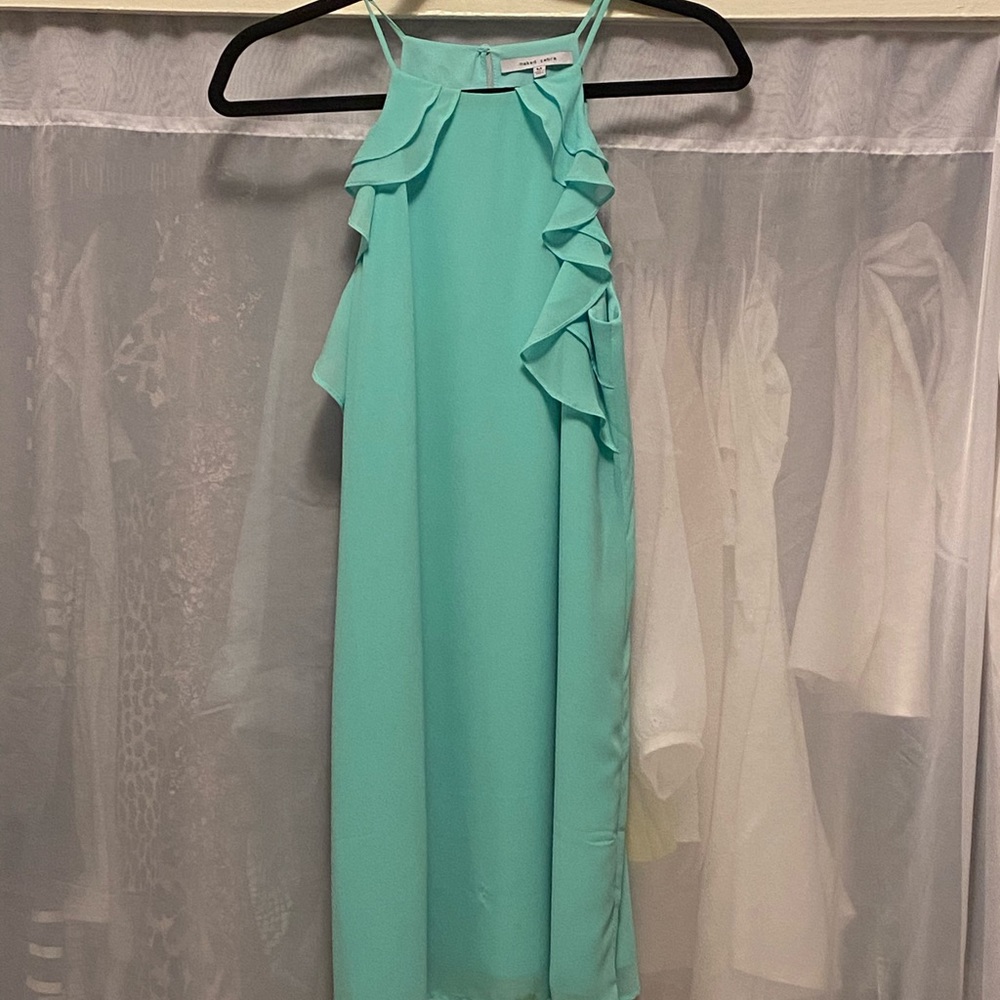 Naked Zebra mint ruffle dress